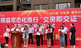 茶陵爆料最新新闻报道,最新突发新闻聚焦，揭秘事件真相