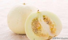 网红吃白兰瓜视频在线观看,在线观看解锁夏日清新口感