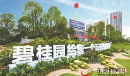 沧州碧桂园最新爆料新闻